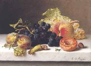 Johann Wilhelm Preyer Grapes peaches and plums on a marble ledge oil painting